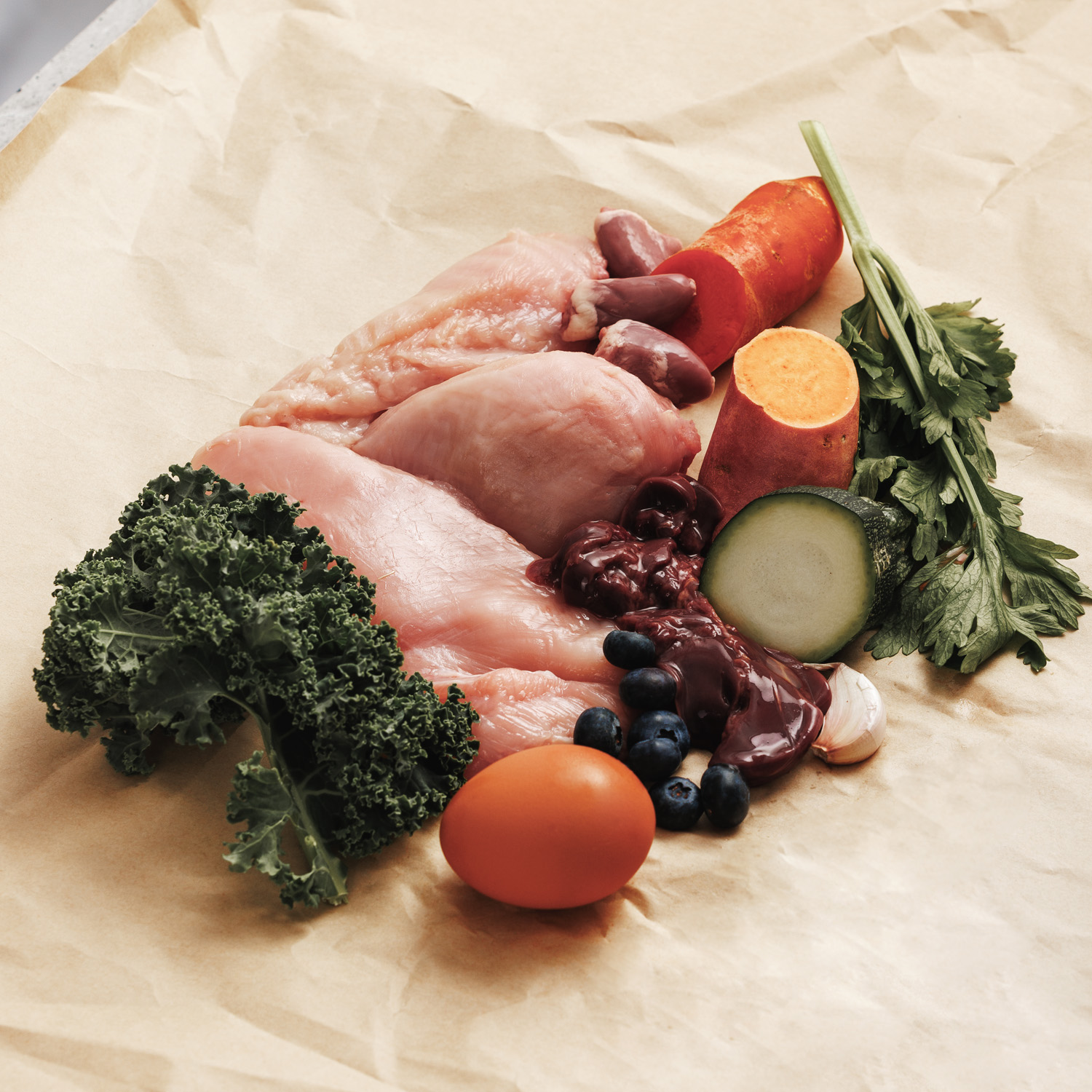 Tucker Raw Food A Deep Dive into Canine Nutrition Tucker Raw Food A Deep Dive into Canine Nutrition